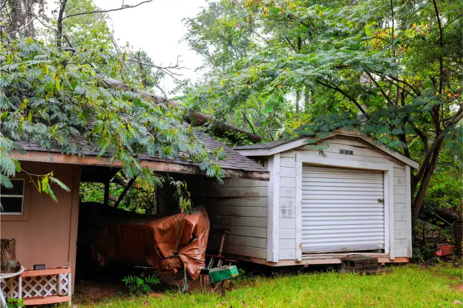 Affordable Shed Removal Service in Huron, OH
